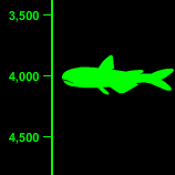 Lanternfish Depth - 4,000 Feet