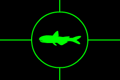Lanternfish Image