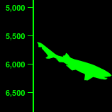 Sixgill Shark Depth - 6,000 Feet