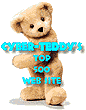 Cyber Teddy Top 500