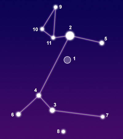 The constellation Canis Major showing common points of interest
