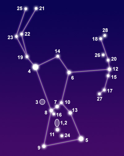 Constellation Orion showing common points of interest