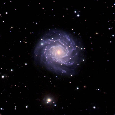 Image of face-on Spiral galaxy NGC 7015