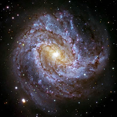 Image of spiral galaxy M83
