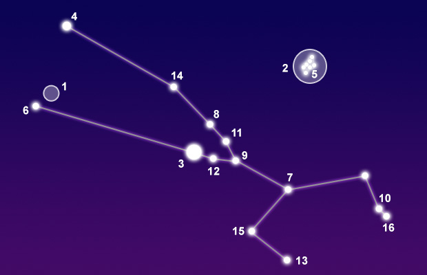 The constellation Taurus showing common points of interest
