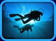 Diving Website Links