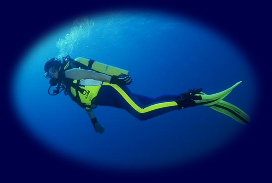 SCUBA Diver in the Ocean