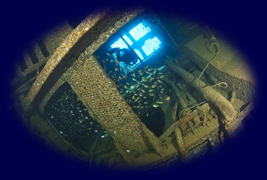 Diver Exploring a Shipwreck