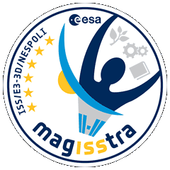 Soyuz TMA-20 MagISStra Mission Patch