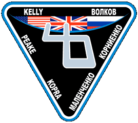 ISS Expedition 46 Mission Patch