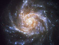Spiral Galaxy NGC 1376