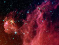 Stars in Orion's Head